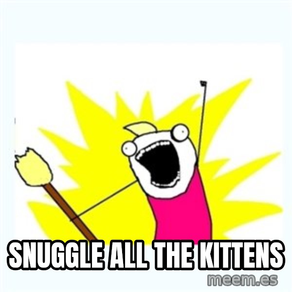 All the things meme: SNUGGLE ALL THE KITTENS