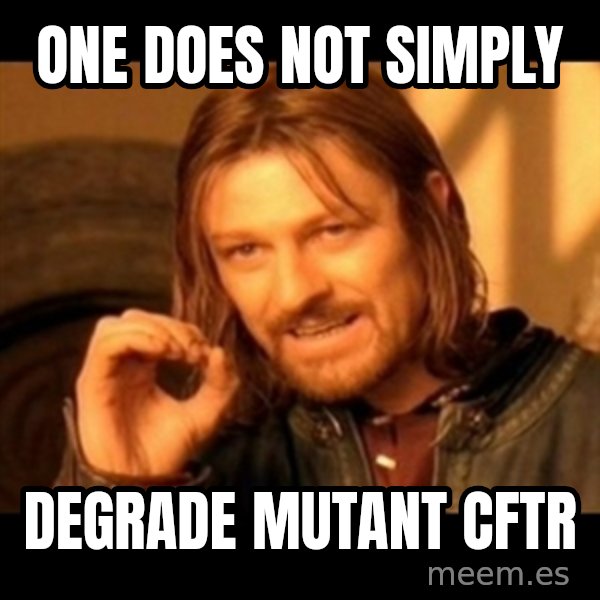 Does not simply walk into mordor Boromir  meme: one does not simply / degrade mutant cftr