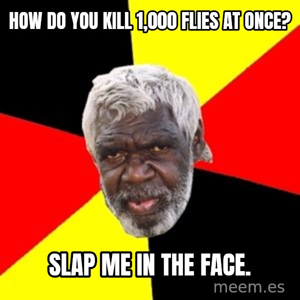 Aboriginal meme: how do you kill 1,000 flies at once? / slap me in the face.