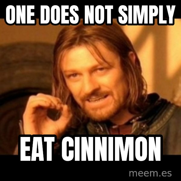 One Does Not Simply meme: ONE DOES NOT SIMPLY / EAT CINNIMON