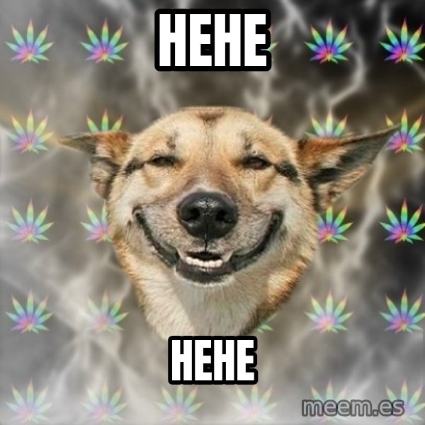 Stoner Dog meme: hehe / hehe