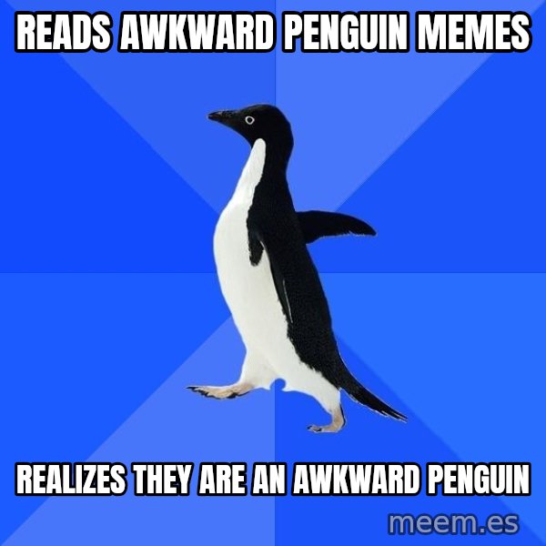 Socially Awkward Penguin meme: READS AWKWARD PENGUIN MEMES / REALIZES THEY ARE AN AWKWARD PENGUIN