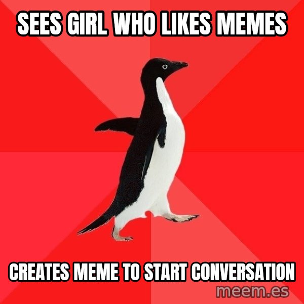 Socially Awesome Penguin meme: Sees girl who likes memes / Creates meme to start conversation