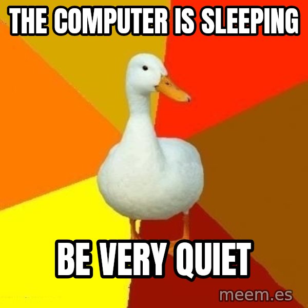 Technologically Impaired Duck meme: the  computer is sleeping / be very quiet