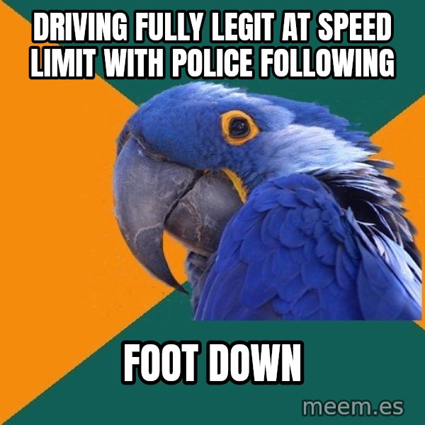 Paranoid Parrot meme: driving fully legit at speed   limit with police following / foot down