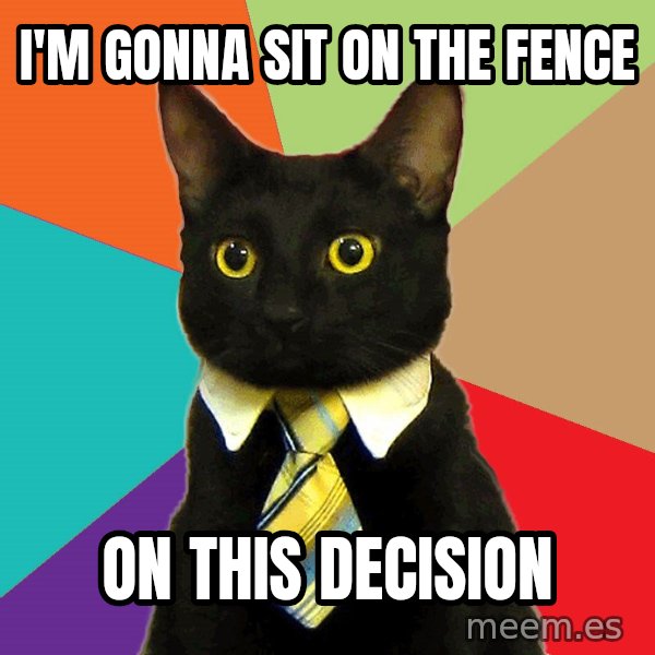 Business Cat meme: i'm gonna sit        on the fence / on this  decision