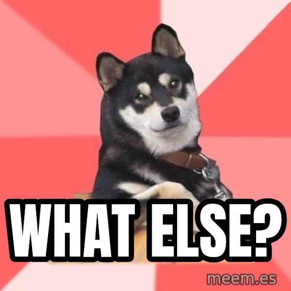 Cool Dog meme: What else?