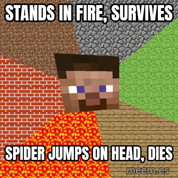 Minecraft Guy meme: STANDS IN FIRE, SURVIVES / SPIDER JUMPS ON HEAD, DIES