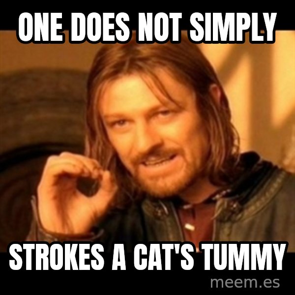 Does not simply walk into mordor Boromir  meme: one does not simply / strokes a cat's tummy