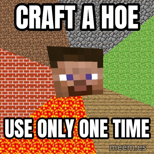 Minecraft Guy meme: CRAFT A HOE / USE ONLY ONE TIME
