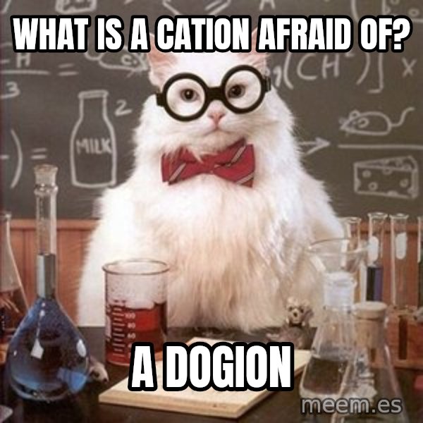 Chemistry Cat meme: what is a cation afraid of? / a dogion