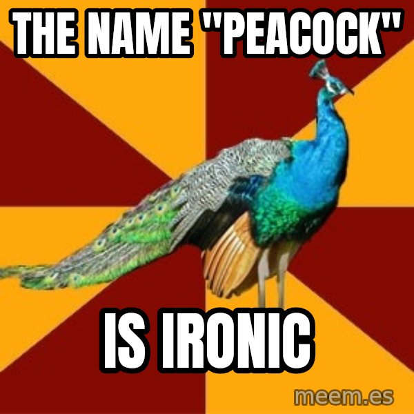 Thespian Peacock meme: the name "peacock" / is ironic