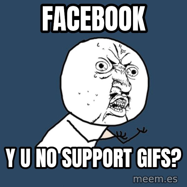 Y U No meme: facebook / y u no support gifs?