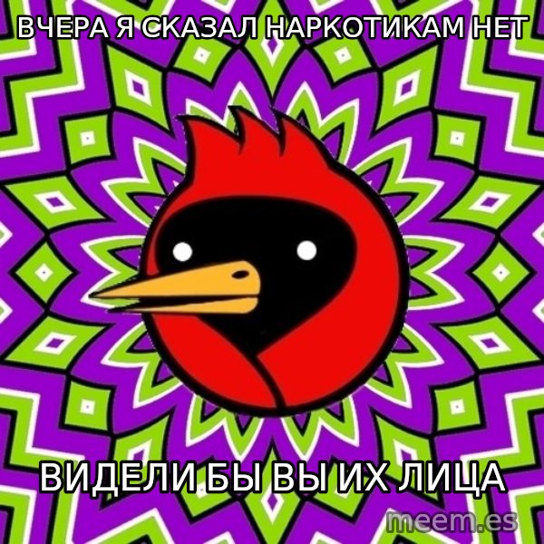 Omsk Crow meme: Вчера я сказал наркотикам нет / видели бы вы их лица