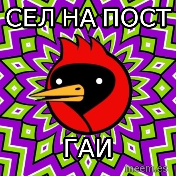 Omsk Crow meme: сел на пост / гаи
