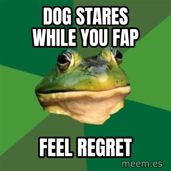 Foul Bachelor Frog meme: Dog stares while you fap / Feel regret