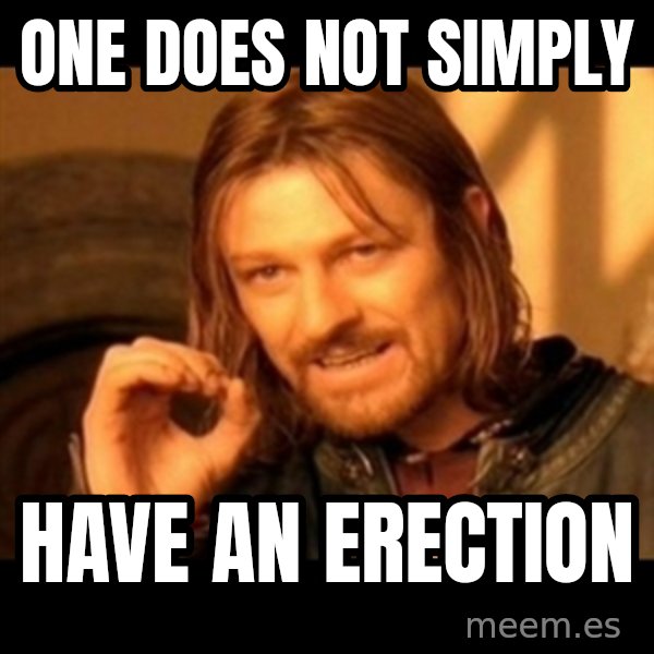 One Does Not Simply meme: One does not simply / have an erection