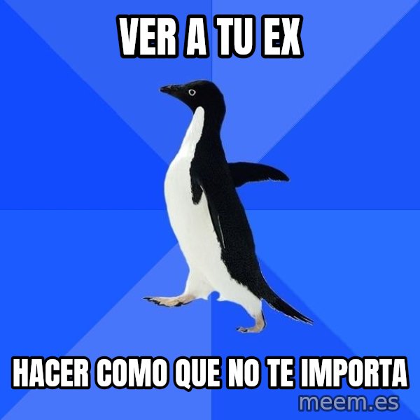Socially Awkward Penguin meme: ver a tu ex / hacer como que no te importa