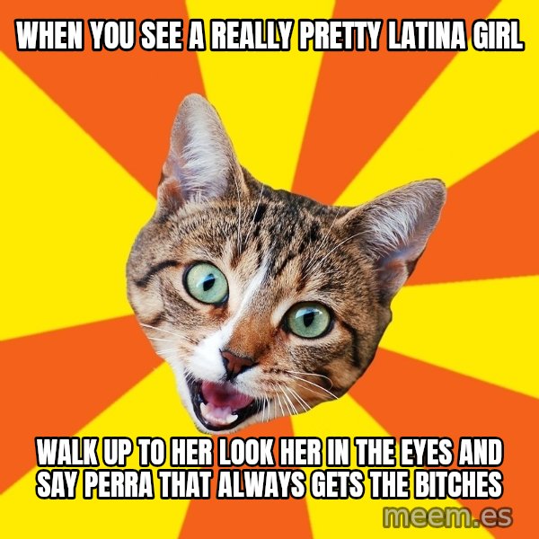 Bad Advice Cat meme: when you see a really pretty latina girl / walk up to her look her in the eyes and say perra that always gets the bitches