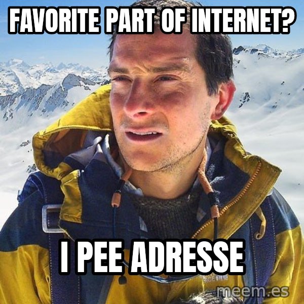 Bear Grylls meme: favorite part of internet? / i pee adresse