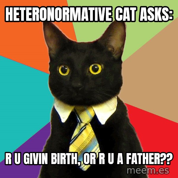 Business Cat meme: heteronormative cat asks: / r u givin birth, or r u a father??