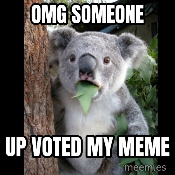 Koala can't believe it meme: OMG someone / up voted my meme