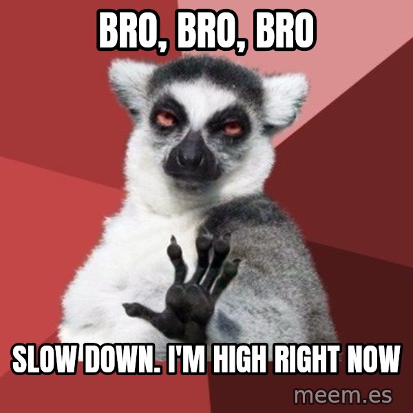 Chill Out Lemur meme: bro, bro, bro / slow down. i'm high right now