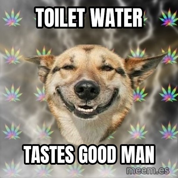Stoner Dog meme: Toilet water / tastes good man
