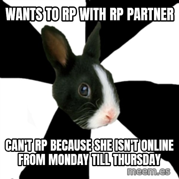 Roleplaying Rabbit meme: Wants to RP with rp partner / Can't rp because she isn't online from monday till thursday