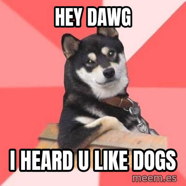 Cool Dog meme: hey dawg / i heard u like dogs
