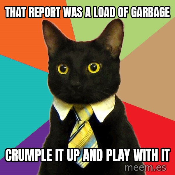 Business Cat meme: That report was a load of garbage / crumple it up and play with it