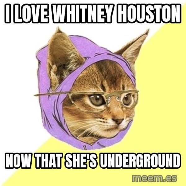 Hipster Kitty meme: i love whitney houston / now that she's underground