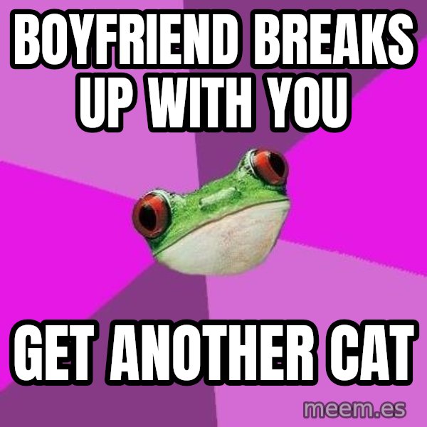 Foul Bachelorette Frog meme: Boyfriend breaks up with you / get another cat