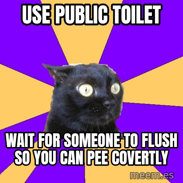 Anxiety Cat meme: use public toilet / wait for someone to flush so you can pee covertly