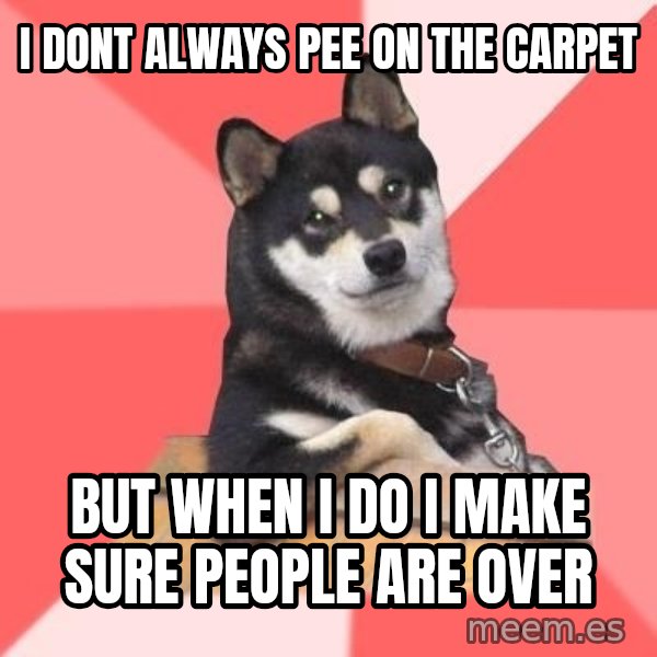 Cool Dog meme: i dont always pee on the carpet / but when i do i make sure people are over