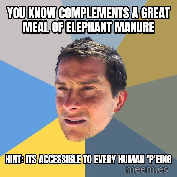 Bear Grylls meme: You know complements a great meal of elephant manure / Hint: Its accessible to every Human 'P'eing