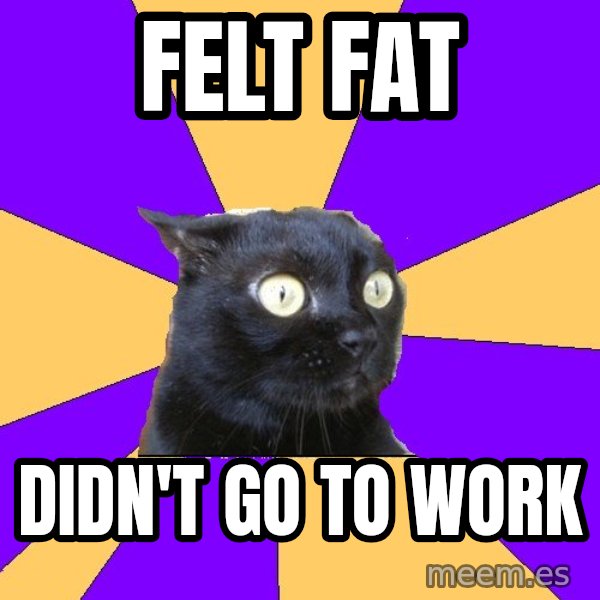 Anxiety Cat meme: felt fat / didn't go to work