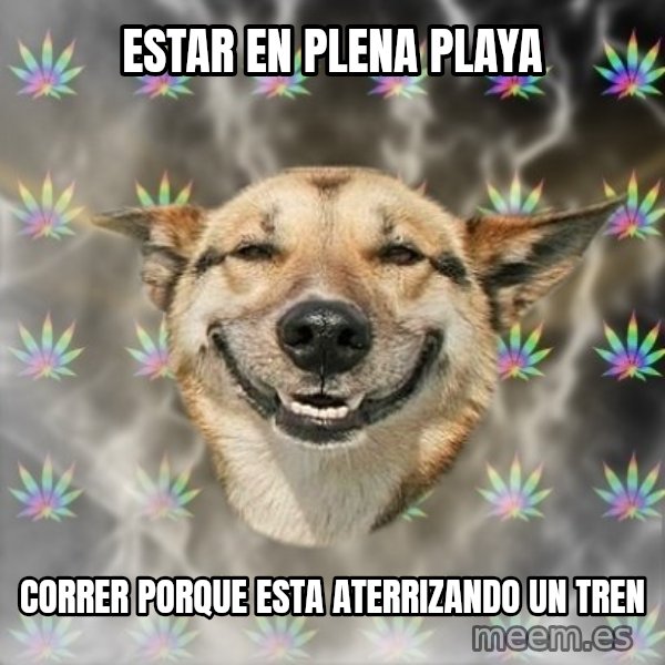 Stoner Dog meme: estar en plena playa / correr porque esta ATERRIZANDO un tren