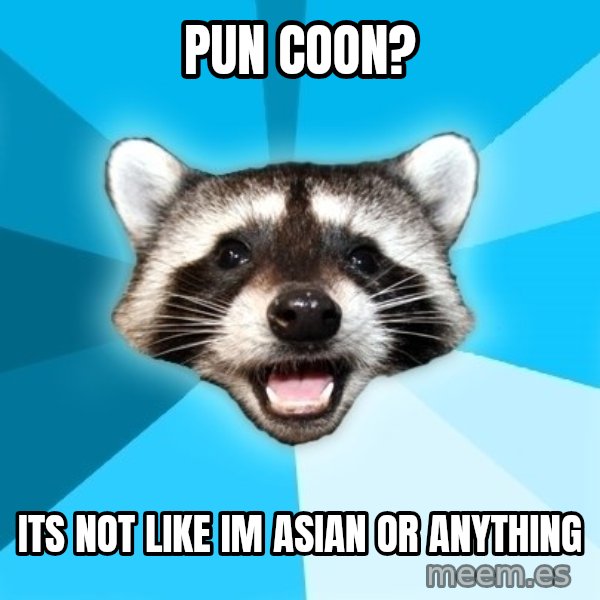 Lame Pun Coon meme: pun coon? / its not like im asian or anything