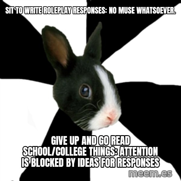 Roleplaying Rabbit meme: sit to write roleplay responses: no muse whatsoever. / give up and go read school/college things: attention is blocked by ideas for responses