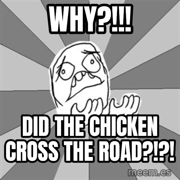 Whyyy??? meme: WHY?!!! / Did the chicken cross the road?!?!