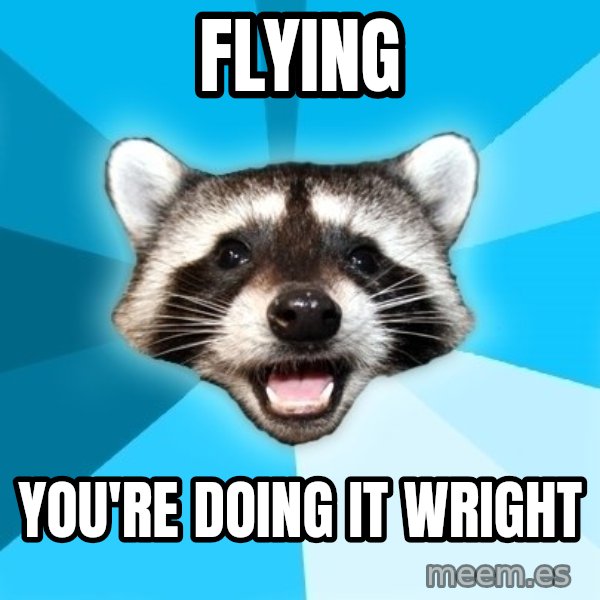 Lame Pun Coon meme: Flying / you're doing it wright