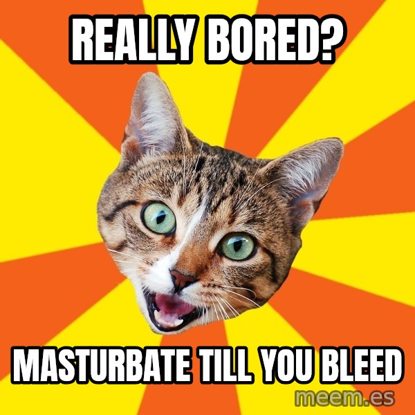 Bad Advice Cat meme: really bored? / masturbate till you bleed