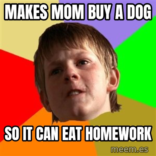 Angry School Boy meme: makes mom buy a dog / so it can eat homework