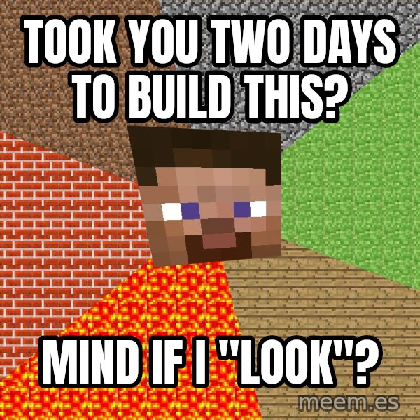 Minecraft Guy meme: Took you two days to build this? / mind if i "look"?