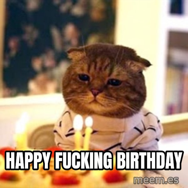 Birthday Cat meme: happy fucking birthday