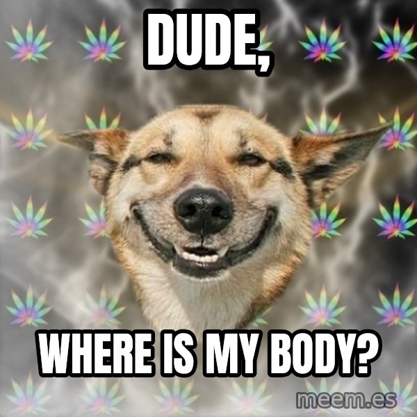 Stoner Dog meme: dude, / where is my body?