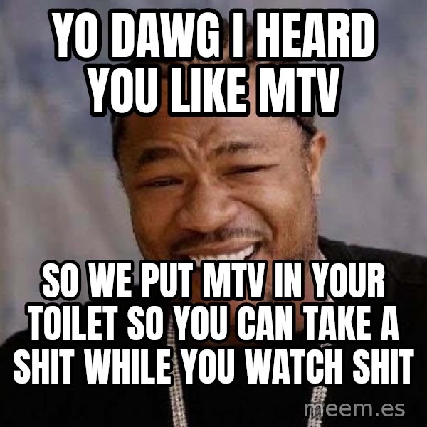 Yo Dawg meme: YO DAWG I heard you like MTV / So we put MTV in your toilet so you can take a shit while you watch shit