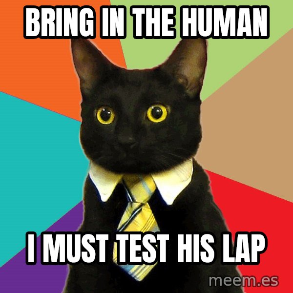 Business Cat meme: Bring in the human / I must test his lap