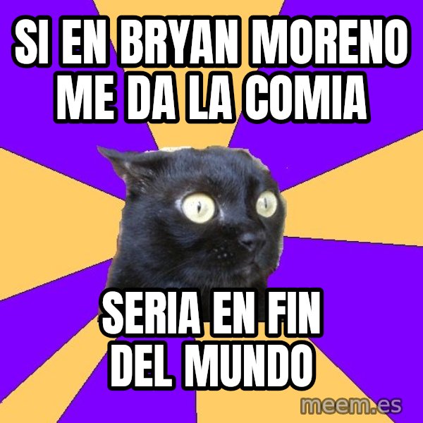 Anxiety Cat meme: si en bryan moreno me da la comia / seria en fin del mundo